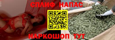 крисы Донецк
