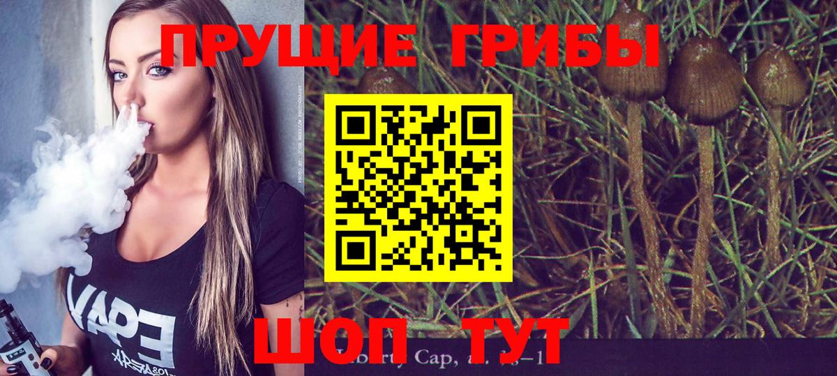 Лыткарино  Галлюциногенные грибы GOLDEN TEACHER  Псилоцибиновые грибы Psilocybine cubensis  Вход с VPN 
