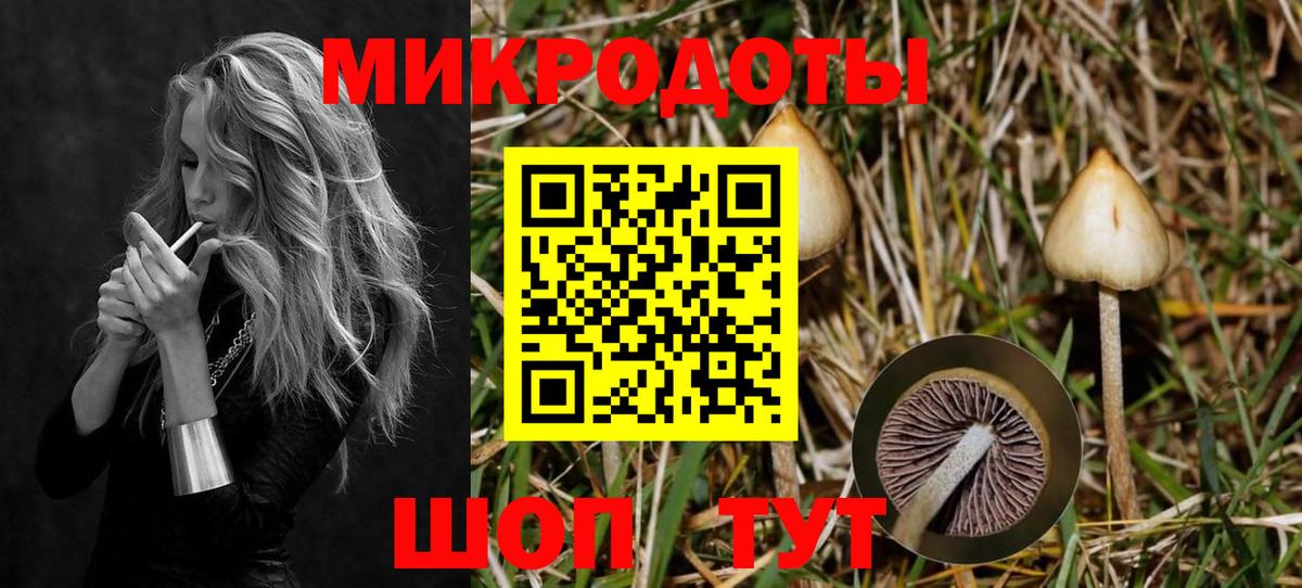 Галлюциногенные грибы Psilocybe Лыткарино
